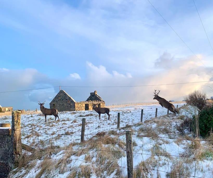 Nᴼ 21 Beautiful Cosy Modern Traditional Cottage Lionel 외부 사진